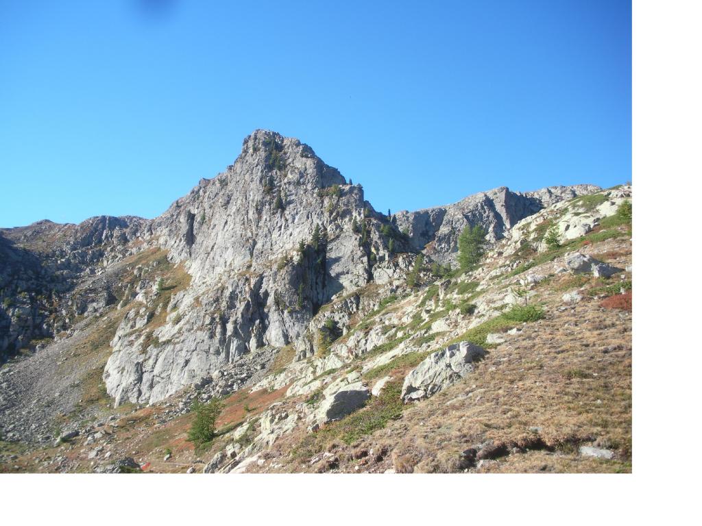 La Colla Auta che avremmo dovuto fare..