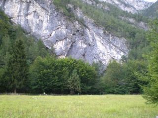 dietro la pineta le lunghezze del pian dei sediei