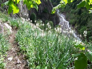 l'inizio del traverso 