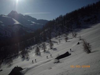 si esce dal bosco