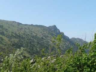 La Martin al mattino.
