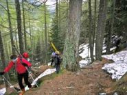nel bosco a quota 1650 ca