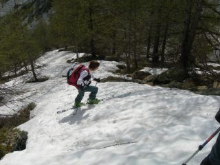 Il bosco iniziale
