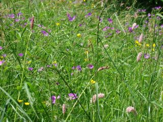 i colori della Valchiusella