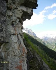 2009-05-19_1427a.tetti