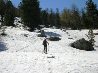 Risalendo al Passo di S. Chiaffredo