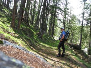 sul sentiero nel bosco che porta al Pont Vieux (23-5-2009)