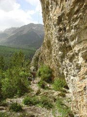 alberto assicura alberto