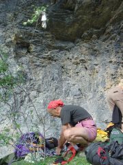 zani cerca i calzini (guardate in alto!)