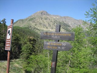 Il saccarello visto dal  passo di Collardente