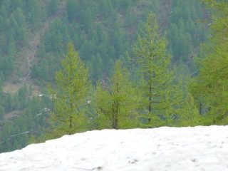 Contrasti abbaglianti