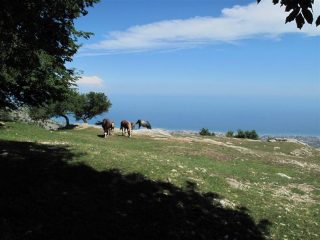 Famigliola a San Pietro ai Monti