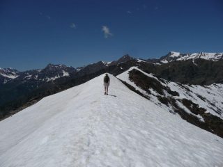 cresta sommitale