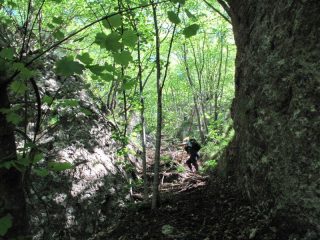 Il canale nel bosco verso il M. delle Gettine