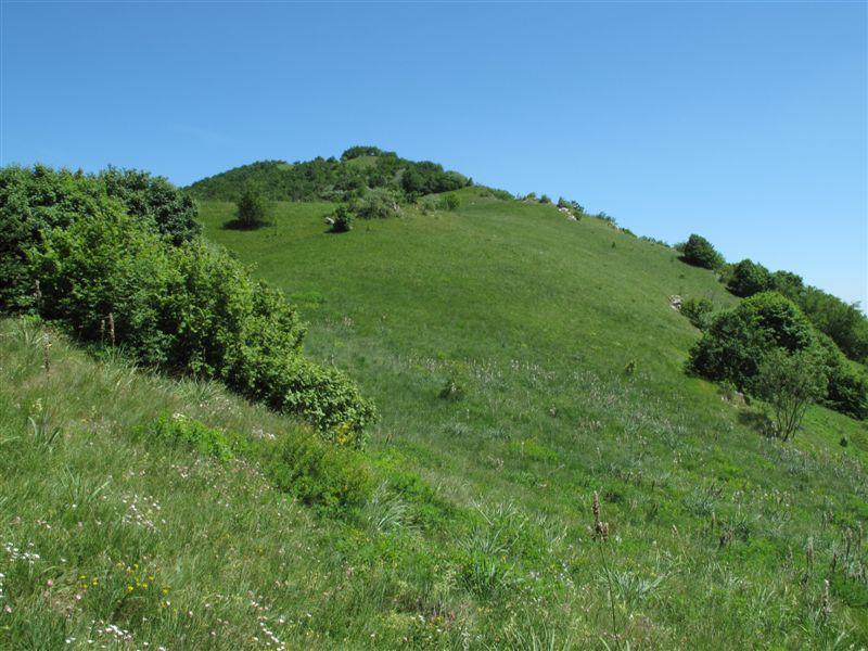 Il M. Alpe Est dalla sella da dove si scende verso Veravo