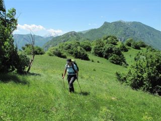 I bei prati arrivando sul M. Alpe Ovest