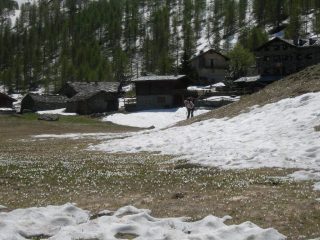 arrivo a Cheneil tra fiori e neve