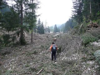 dov'è la strada per il rifugio?