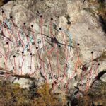 Campambiardo vs 2024