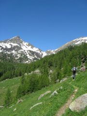 sentiero in salita