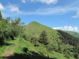 Uscendo dal bosco