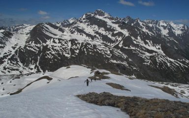 quasi in vetta al Gran Miol