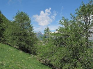 Verso la cresta del Ferrà