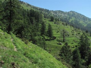 Verso i prati dove si taglia per salire sul crinale