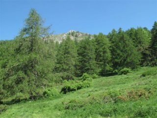 Verso Pian Cavallo
