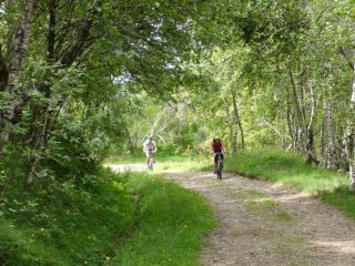 Salendo al Bocchetto