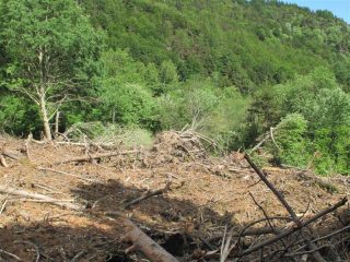 Una piccolissima parte della devastante slavina del Conoia