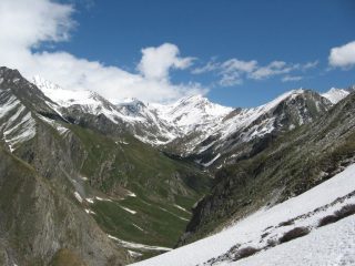 Cartolina