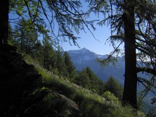 Rocciamelone