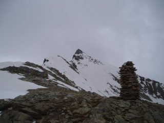 con punta violetta