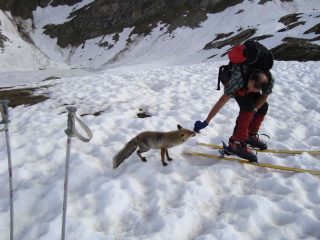 COLAZIONE CON VITTORIO