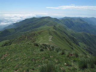Il crinale verso il Monega visto dal Frontè