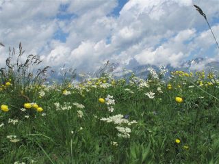 Tavolozza di colori ....