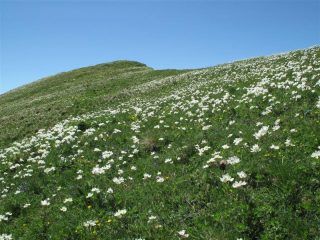 Lungo il percorso...
