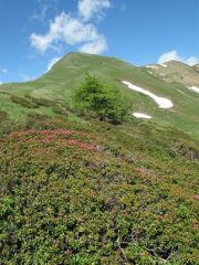 Uno sguardo indietro verso il Frontè