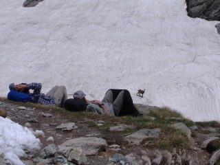 Qualche camoscio qua e là