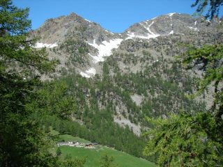 Cima Piana e Brenva Damon