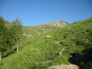 Fine del bosco c.ca a q. 1700