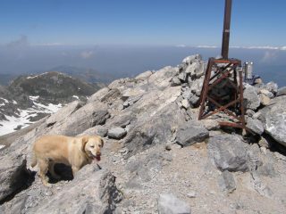 Milla sulla cima
