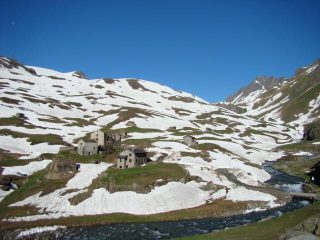 Dondena in tuta mimetica