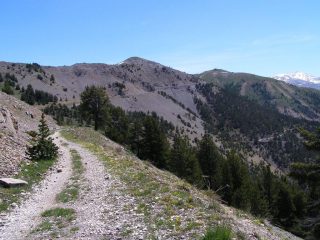 La lunga tagliata verso il Gondran