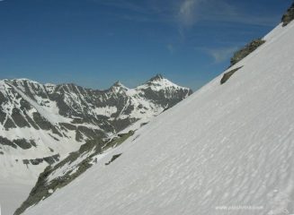 prime curve vista Charbonnel