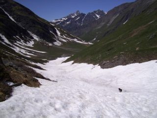 ultime curve,nulla è per sempre!
