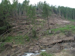 Una delle slavine nel vallone di Upega