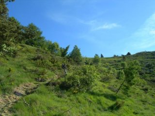 Verso il passo di Lagarè
