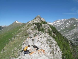 Sul crinale